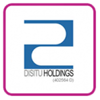 DiSitu Holdings